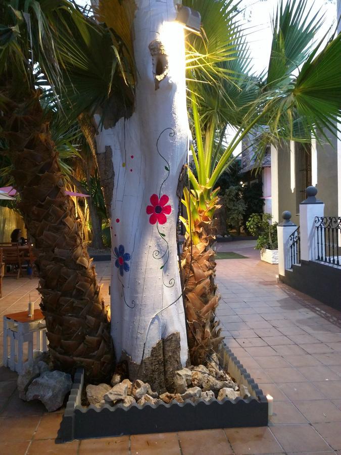 Nwt Paradise Urban Hostel Alicante Exteriér fotografie